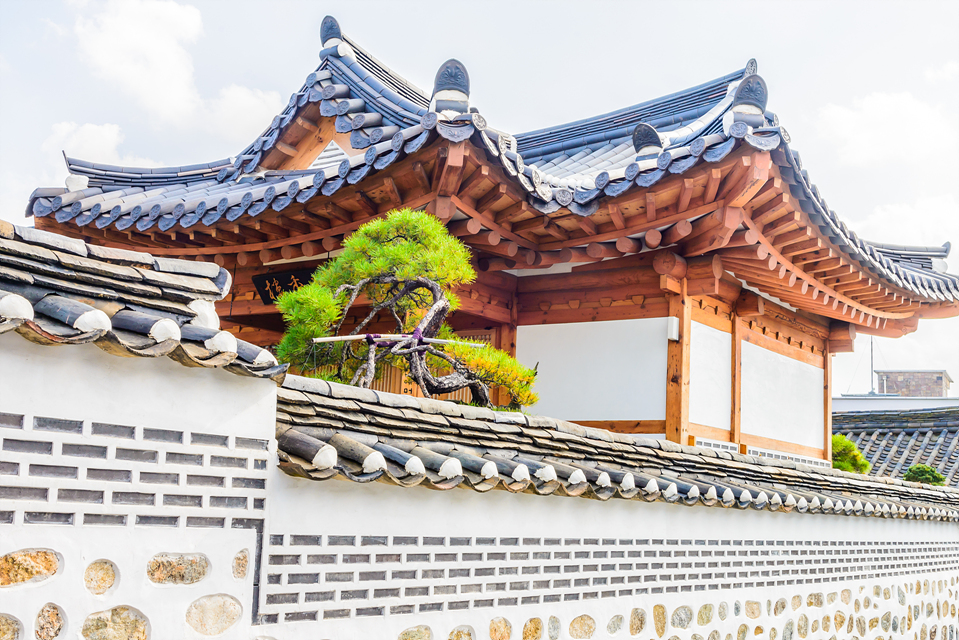 Seoul Culture 3